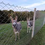 Apartment Hiska Na Gorci