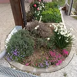 Apartment Hiska Na Gorci