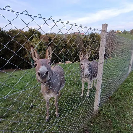Daire Hiska Na Gorci