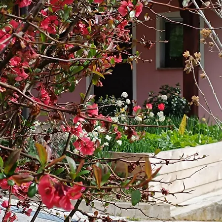 Appartamento Hiska Na Gorci Podcetrtek