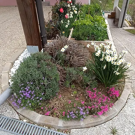 Apartamento Hiska Na Gorci