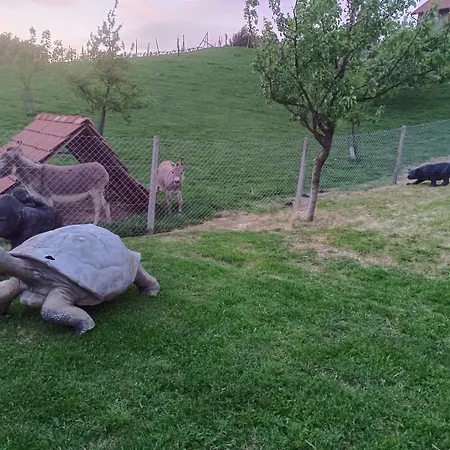 Hiska Na Gorci Apartamento *