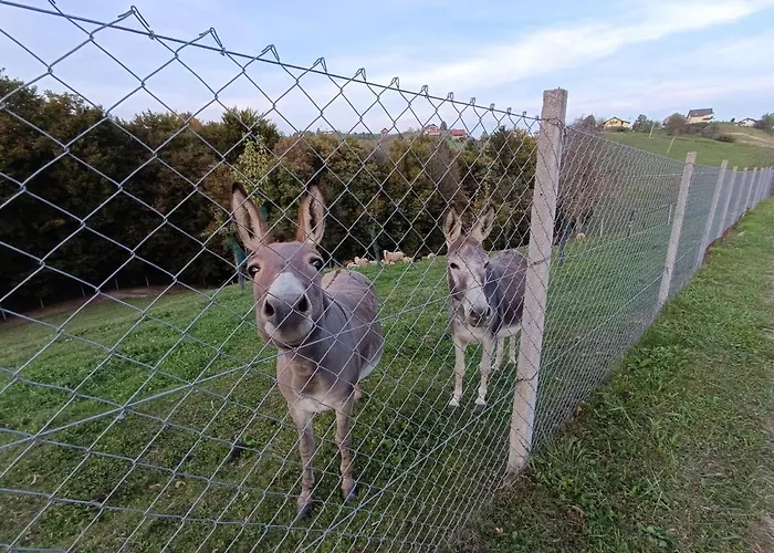 Apartment Hiska Na Gorci