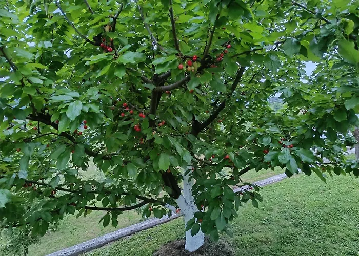 Hiska Na Gorci * Podcetrtek