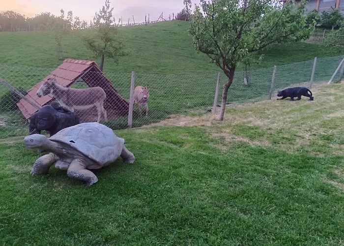 Hiska Na Gorci Apartment *